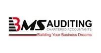 BMS Auditing BMS Auditing | Accounting and Audit Firm in UAE, KSA, Qatar, Bahrain, Oman