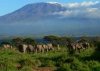 We offer Mount Kilimanjaro climbing discount promotional offers
