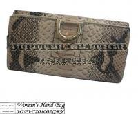 wallet woman`s bag purse money